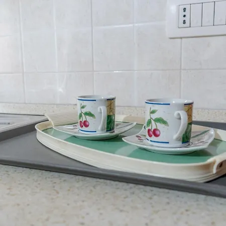 Aurora Functional Flat דירה *